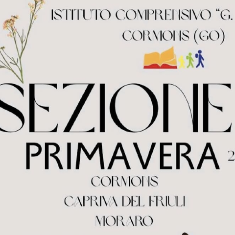 Attivazione di una Sezione Primavera - Incontro informativo